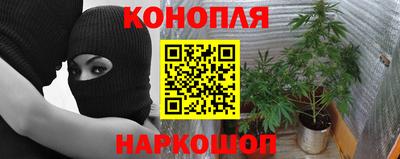 прущие крисы Краснокаменск