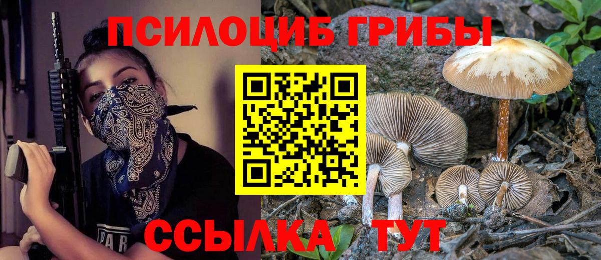 Псилоцибиновые грибы Psilocybine cubensis  Псилоцибиновые грибы Psilocybine cubensis  Вход с VPN  Кингисепп 