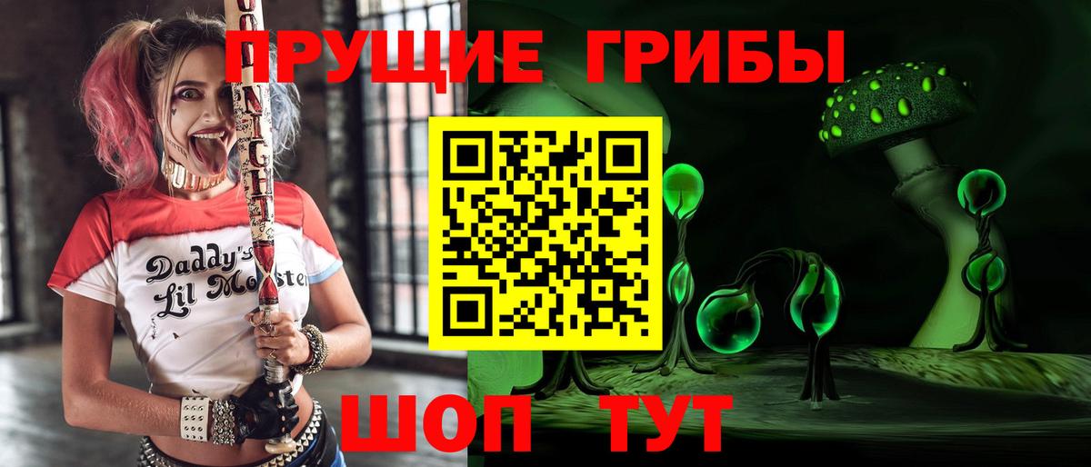 Псилоцибиновые грибы мухоморы Кингисепп