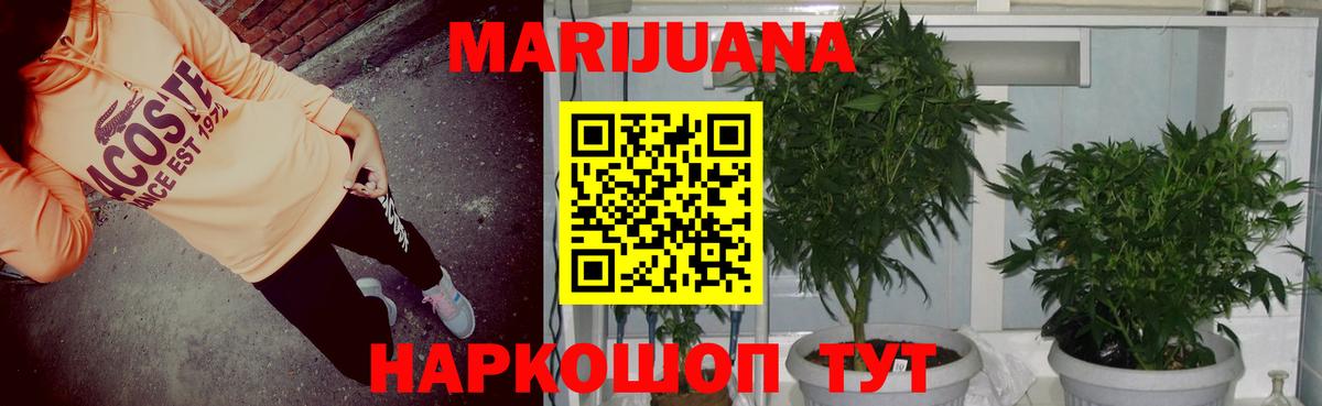 Каннабис сатива  МАРИХУАНА White Widow  Вход с VPN  Марихуана Bruce Banner  Кингисепп  Каннабис сатива 